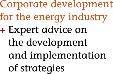 corporate development for the energy industry expert advice on the development and implementation of strategies